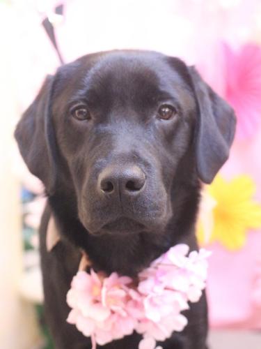 20250311文太くん